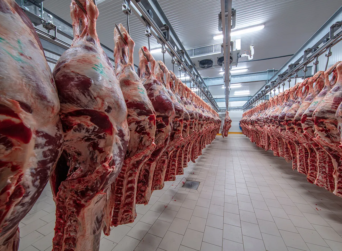 Meats hanging in the cold store