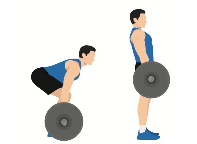 illustration of barbell deadlift, concept of exercises to build muscle