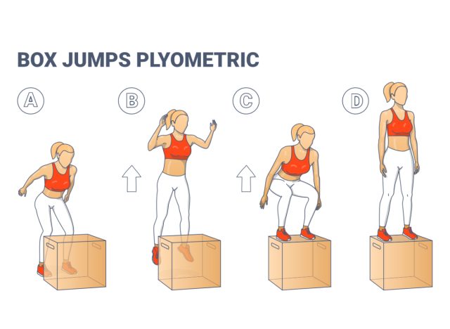 box jumps plyometrics