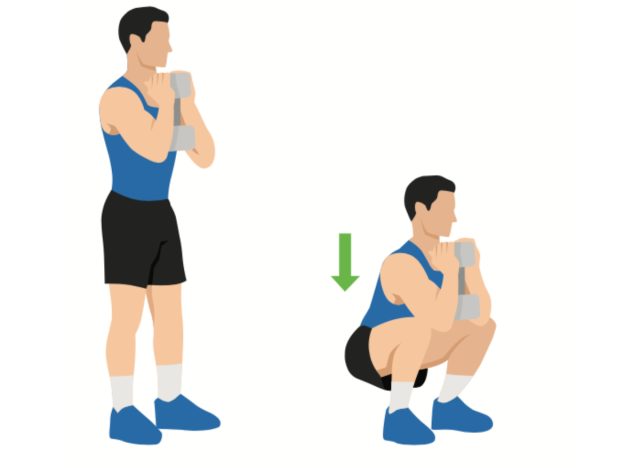 illustration of dumbbell goblet squats, dumbbell exercises for full-body strength