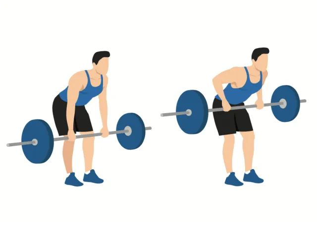 illustration of man doing barbell row, concept of muscle-building exercises for beginners