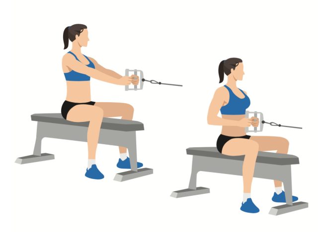 illustration of seated cable row