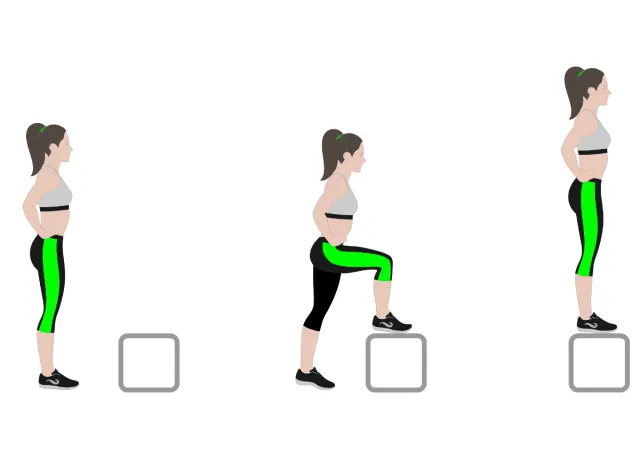 illustration of step-ups, strength workouts for women to get toned legs