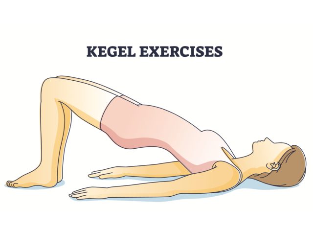 illustration of Kegel exercises