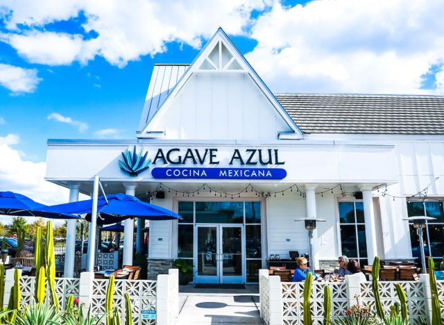 agave azul exterior