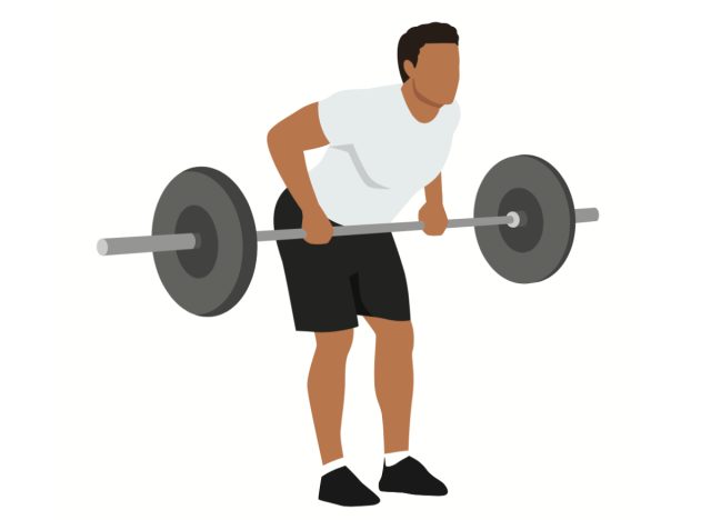 illustration of barbell row exercise