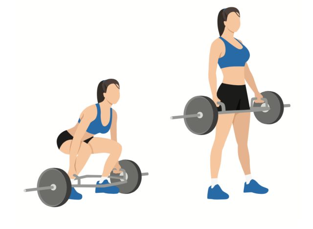 hex bar squats demonstration illustration