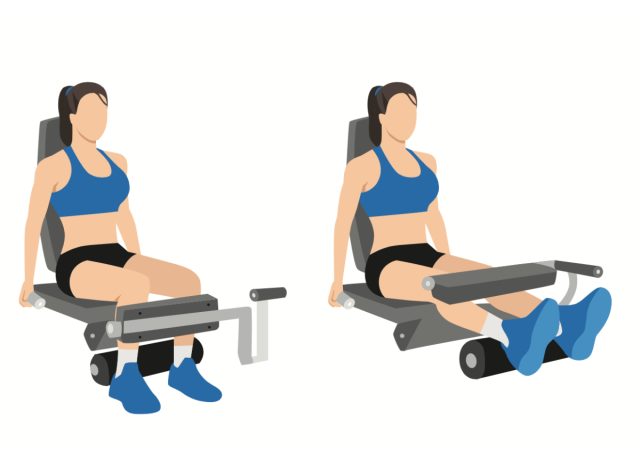 illustration of seated leg curls, concept of daily leg-strengthening workout for seniors