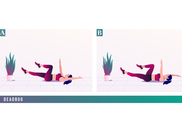  7 Exercises You Must Try for a Slimmer Core in 30 Days - dead bug