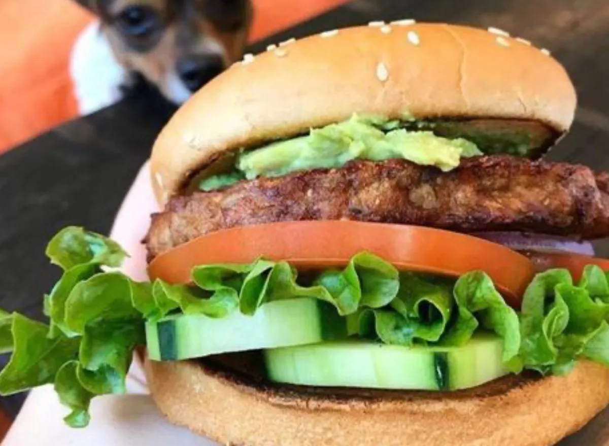 8 FastFood Chains That Serve the Best Veggie Burgers