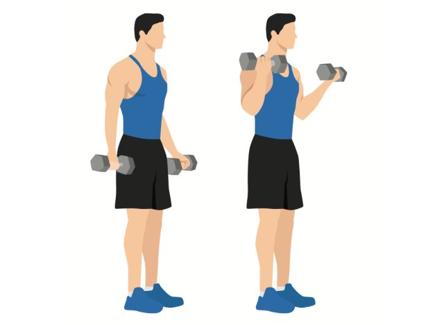 man dumbbell bicep curls, concept of muscle-building exercises for beginners