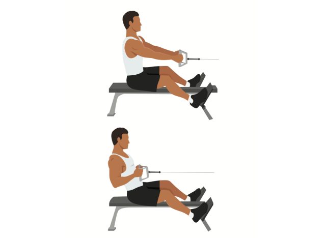 illustration man doing seated cable row