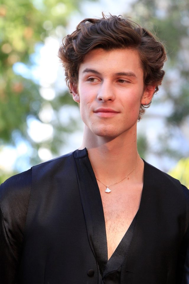 Shawn Mendes at the Sir Lucian Grange Star Ceremony