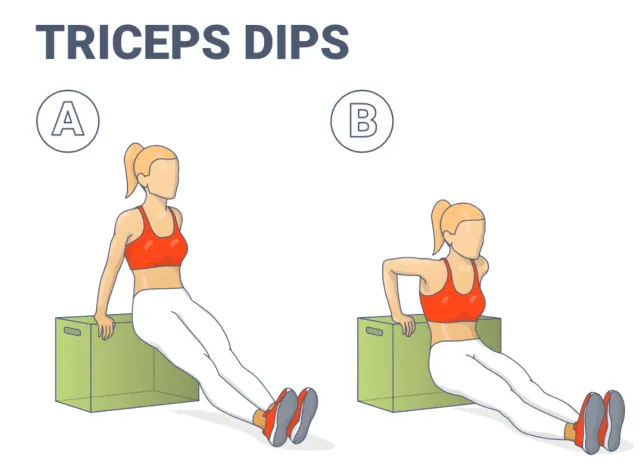 tricep dips illustration, workouts to melt belly fat