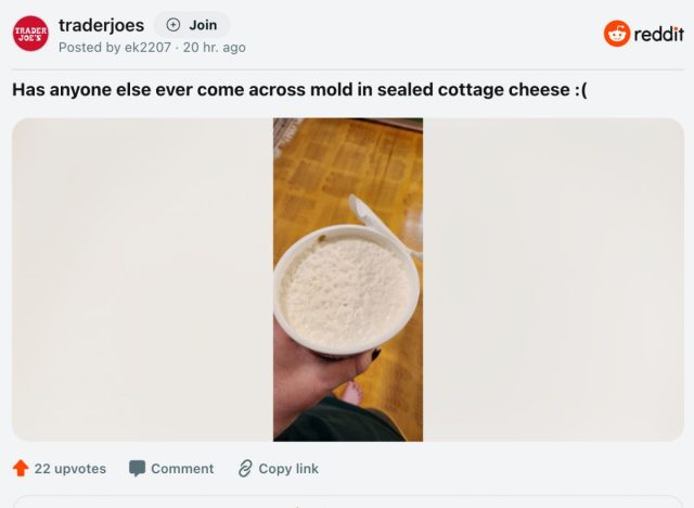 Trader Joe's cottage cheese mold reddit