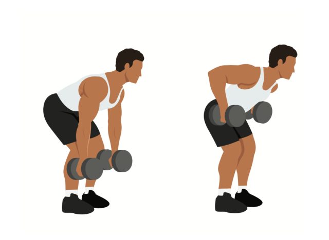 dumbbell bent-over row