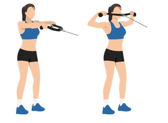 face pulls, strength exercises for women to melt middle-aged spread belly fat