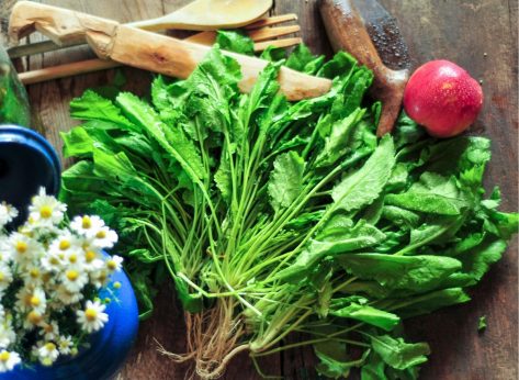 7 Foods That Reverse DNA Damage