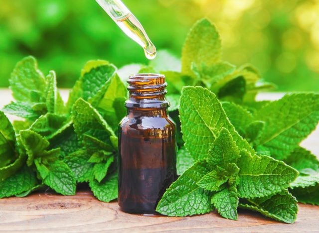 peppermint oil