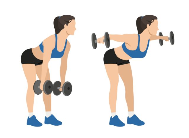 rear lateral raise exercise