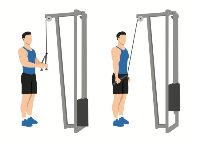 tricep cable pushdown