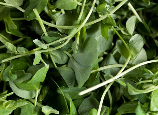 watercress