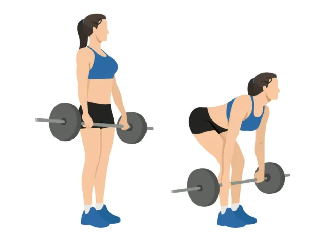 barbell deadlift, exercises for women to stay fit after 40