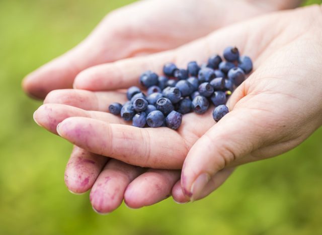 blueberries in woman's hand