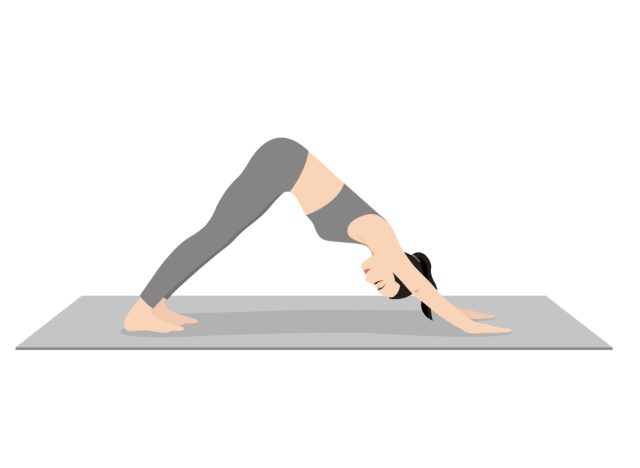 downward dog, daily yoga workout to melt belly fat