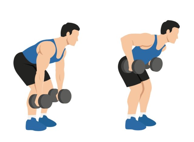 Doblar filas de pesas, concepto de entrenamiento de músculos abdominales para hombres