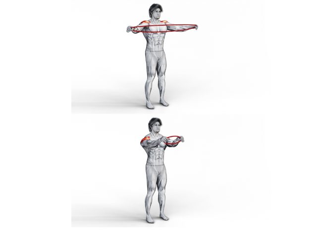 resistance band pull-apart, resistance band exercises