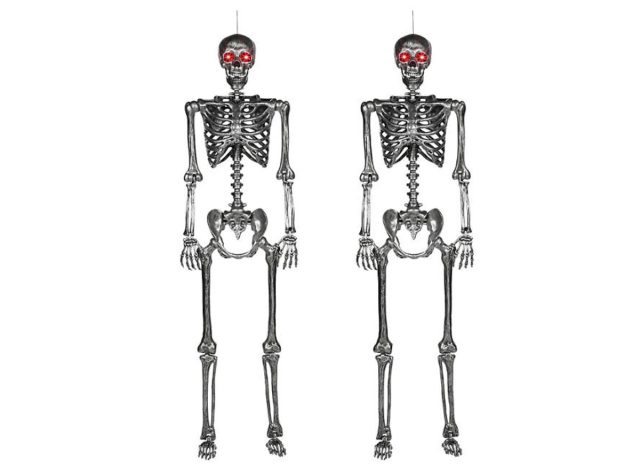 sams club skeletons