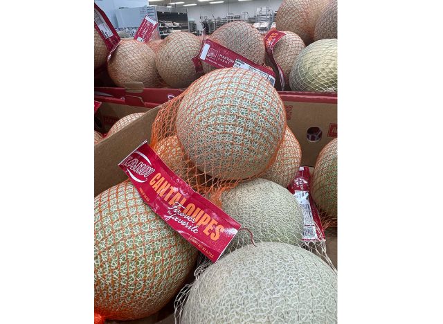 Cantaloupes at Costco