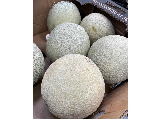 Cantaloupe at Sam's Club