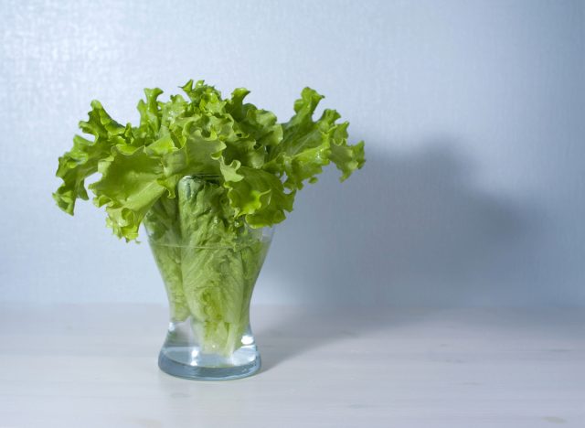 lettuce water concept