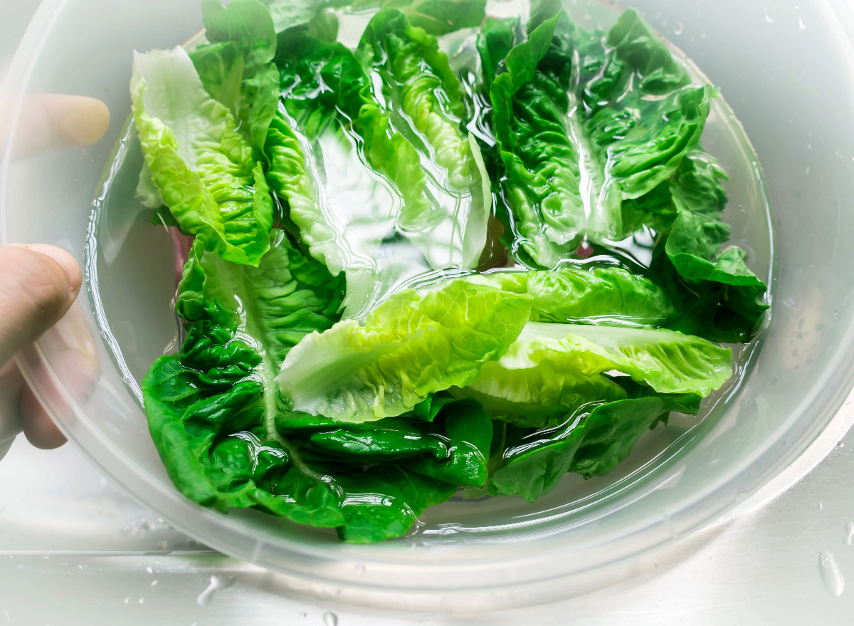 Can Drinking Lettuce Water Help You Fall Asleep Faster?