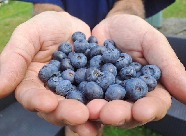 man holding blueberries, concept of foods to keep brain young