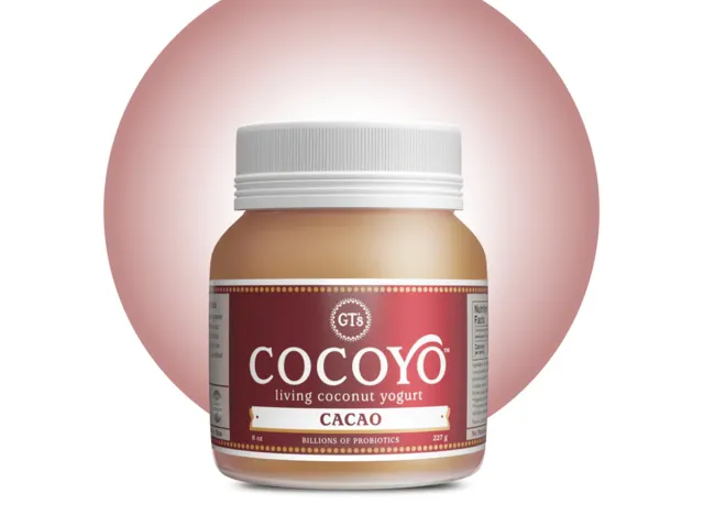 GT's Cocoyo Living Coconut Yogurt Cacao
