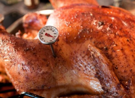 9 Best Meat Thermometers Your Kitchen Needs