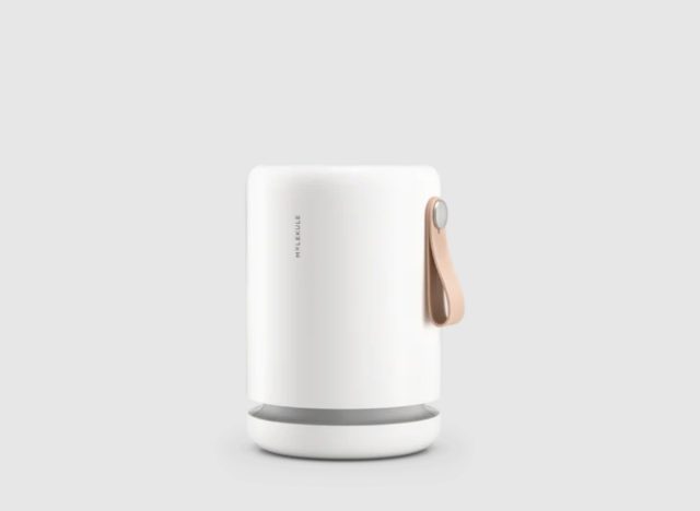 Molekule purifier