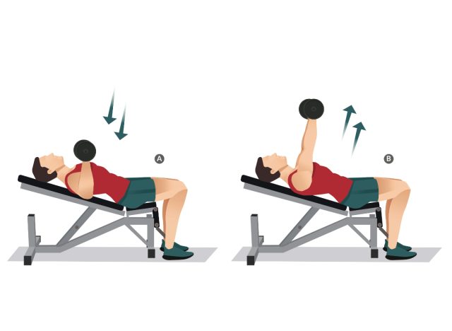 incline dumbbell bench press