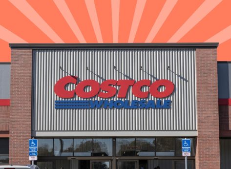 The 13 Best Costco Pet Items in 2024