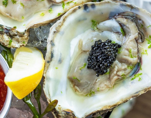 Oysters at Ocean Prime