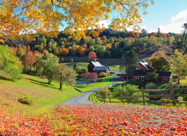 Vermont