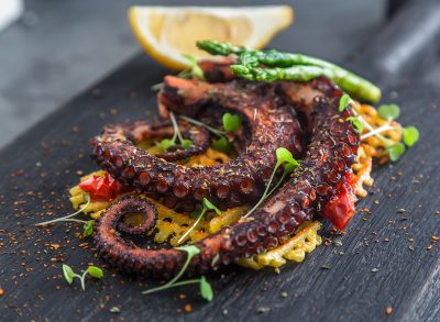 Grilled octopus