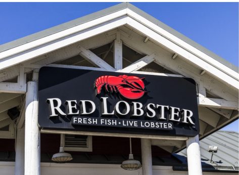 Red Lobster Owner 'Not Expecting Much' From Sale