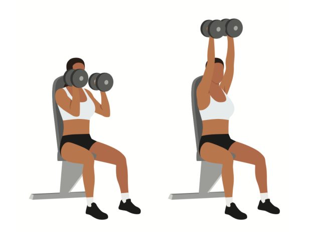 seated dumbbell bench press