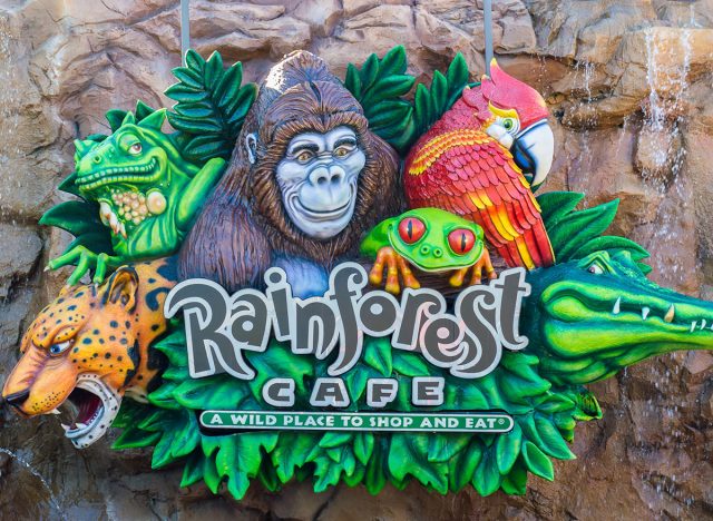 Rainforest cafe Orlando