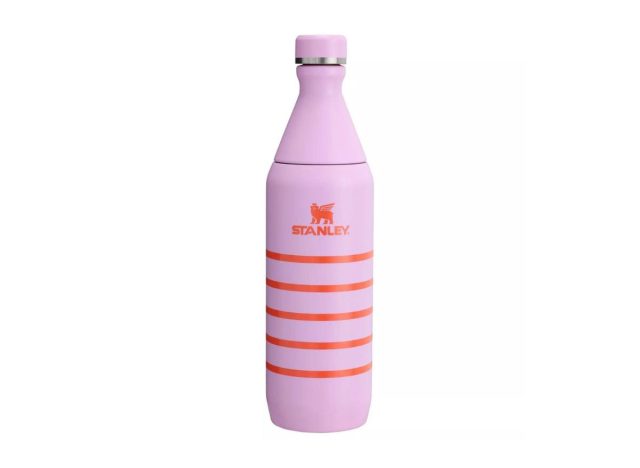 Stanley Amethyst Striped All Day Slim Bottle