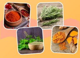 collage of healthy herbs and spices cayenne rosemary holy basil and turmeric on a designed background